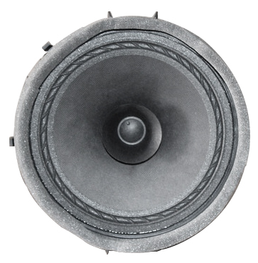 FRT & RR DOOR SPEAKER